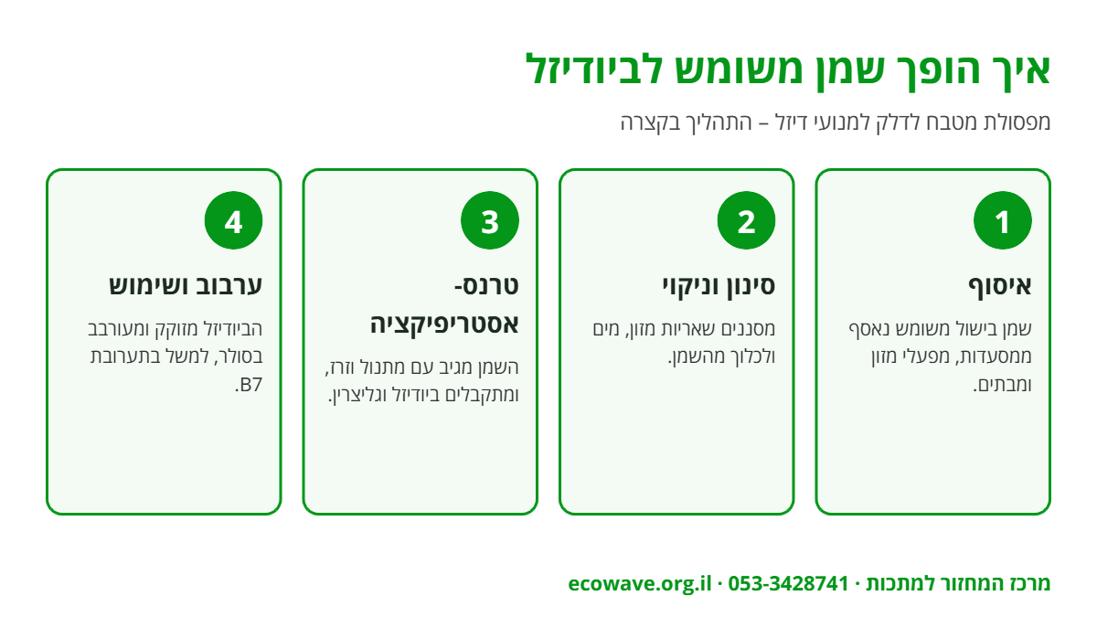 אינפוגרפיקה: תהליך ייצור ביודיזל משמן משומש – איסוף, סינון, טרנס-אסטריפיקציה וערבוב בסולר