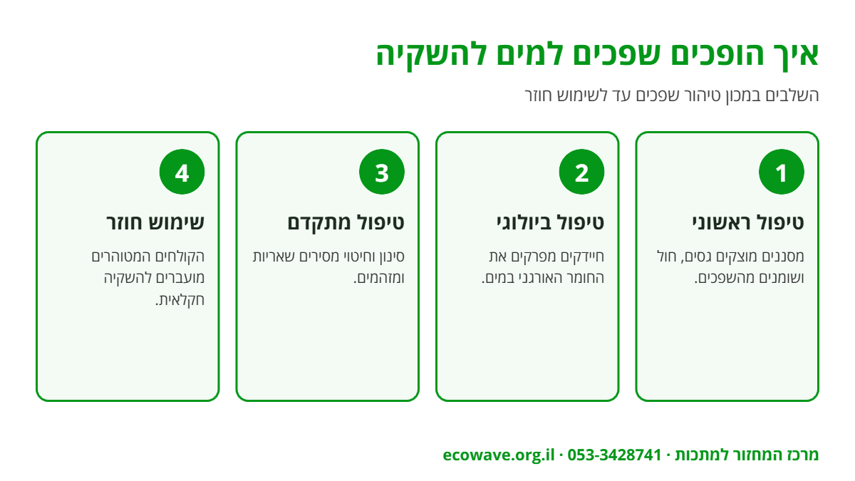 אינפוגרפיקה: שלבי טיהור שפכים – טיפול ראשוני, ביולוגי ומתקדם ושימוש חוזר בהשקיה